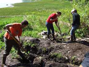 Digging