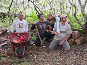 wood pile