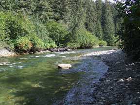creek