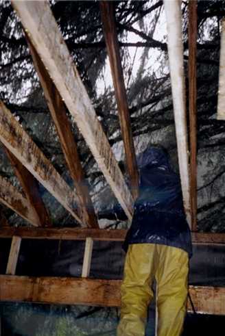 blocking in the rain