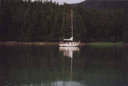 Limpet at anchor
