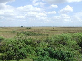 Everglades