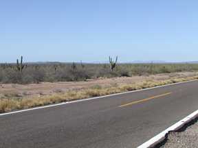 desert