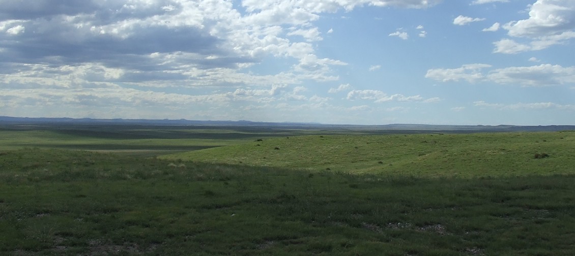 grasslands