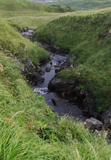 stream