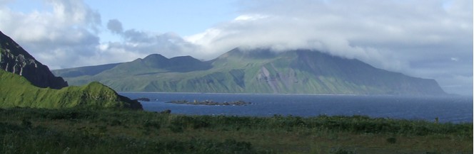 Shore