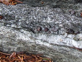 garnets