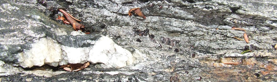 garnets