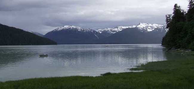 Whiting
                inlet